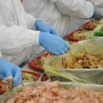 札幌市西区『食品盛り付け・シール貼りスタッフ』  "コツコツ・モクモク作業が好きな方歓迎" 時給1,200円～　Food Packing & Labeling Staff Wanted in Sapporo!